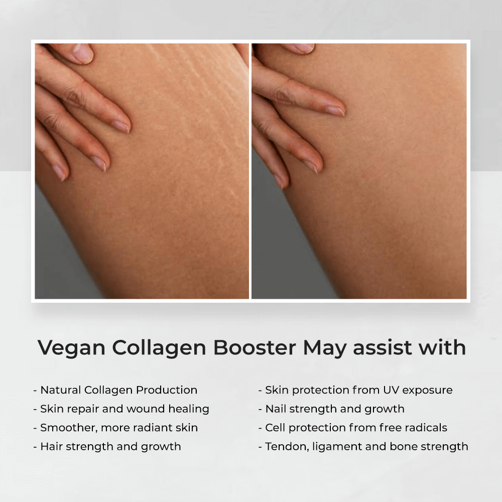 NatureAlly Plant Based Collagen Powder