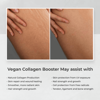 Thumbnail for NatureAlly Plant Based Collagen Powder
