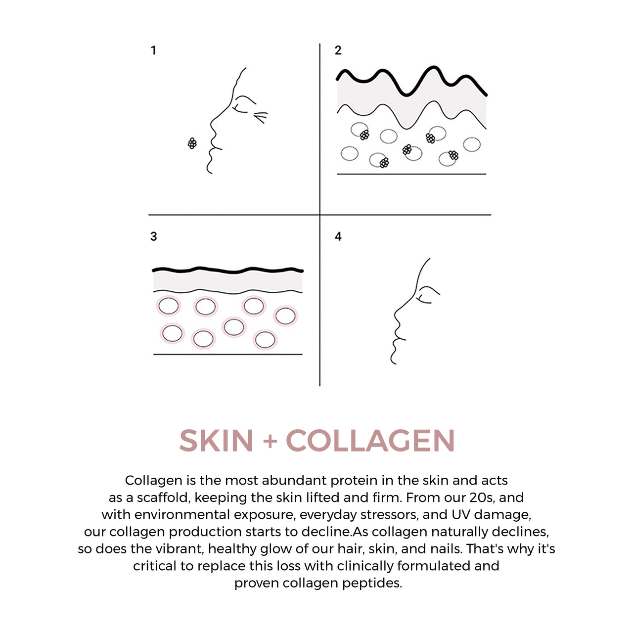NatureAlly Plant Based Collagen Powder
